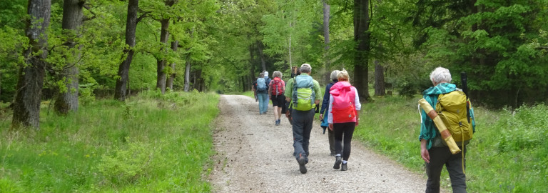 Klimapilgern Gruppe